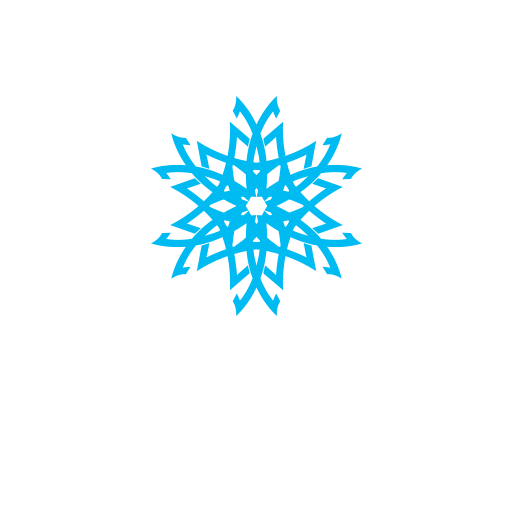 Experienced Technicians